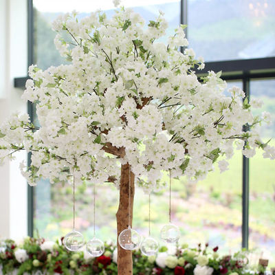 Faux-Blüten-Baum Soems 1.5m, künstlicher weißer Cherry Blossom Tree With 5 Jahre Lebensdauer-