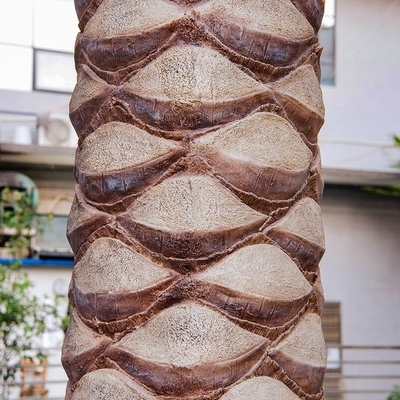 Künstlicher Kokosnuss-Palme-Fiberglas-Baum-Mall-Strand-Bäume im Freien