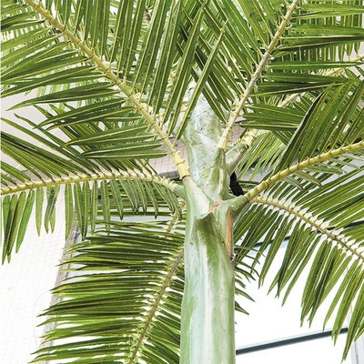 6.3m Höhen-nach Maß dekorativer künstlicher kubanischer königlicher König Palm Small Tree