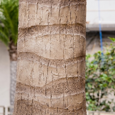 Gestalten künstliche Palme des Weihnachten5m mit Lichtern Dekor landschaftlich