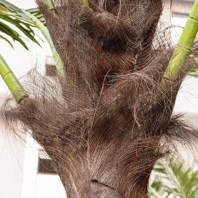 Gestalten künstliche Palme des Weihnachten5m mit Lichtern Dekor landschaftlich