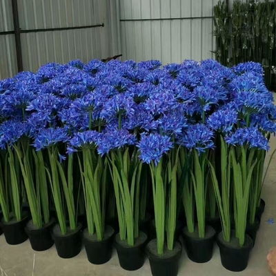 Soem-Kaktus-künstliche Bonsai-Anlagen fast natürliche 100 handgemacht