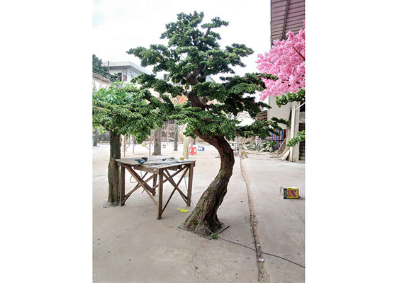 1m künstlicher Innenpodocarpus-Baum, kein schädlicher künstlicher Cedar Bonsai Tree